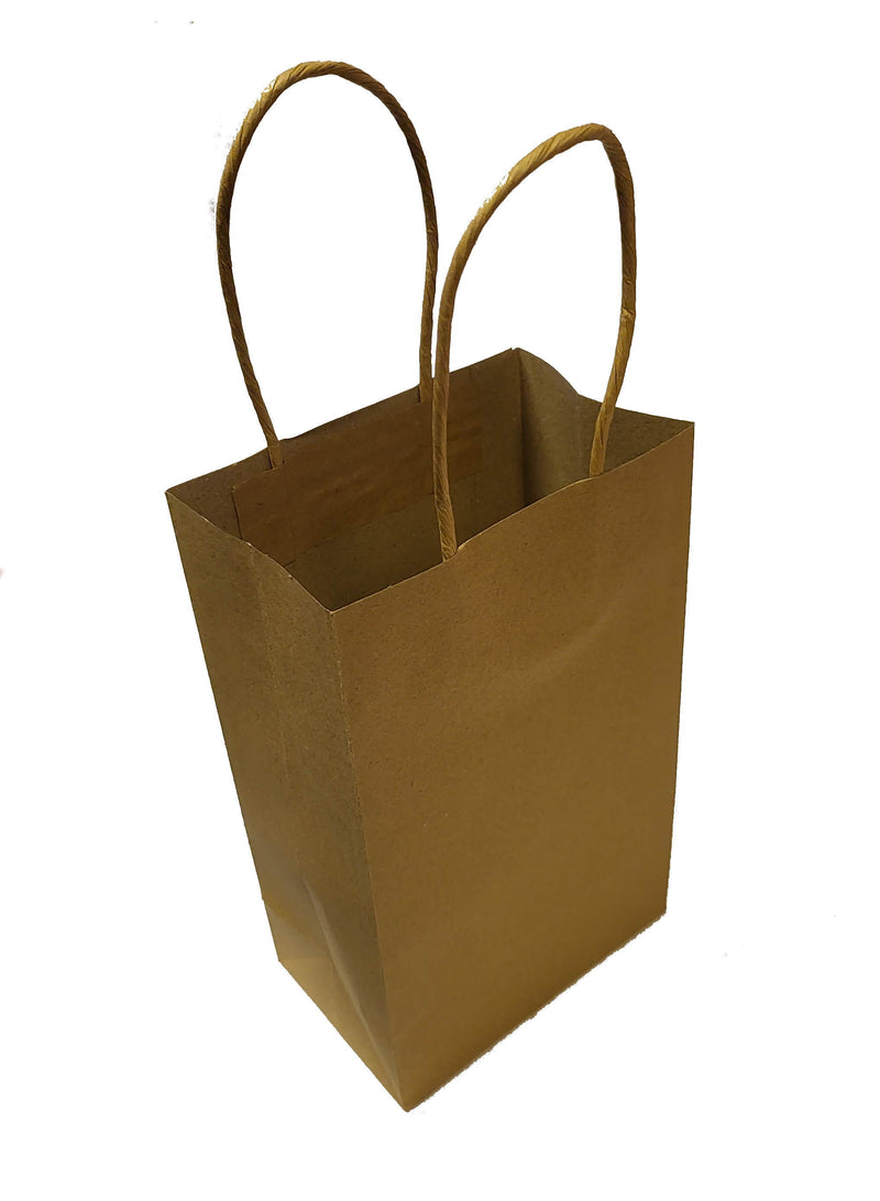 Kraft Paper Party Gift Bags - 10 Pack - The Country Christmas Loft