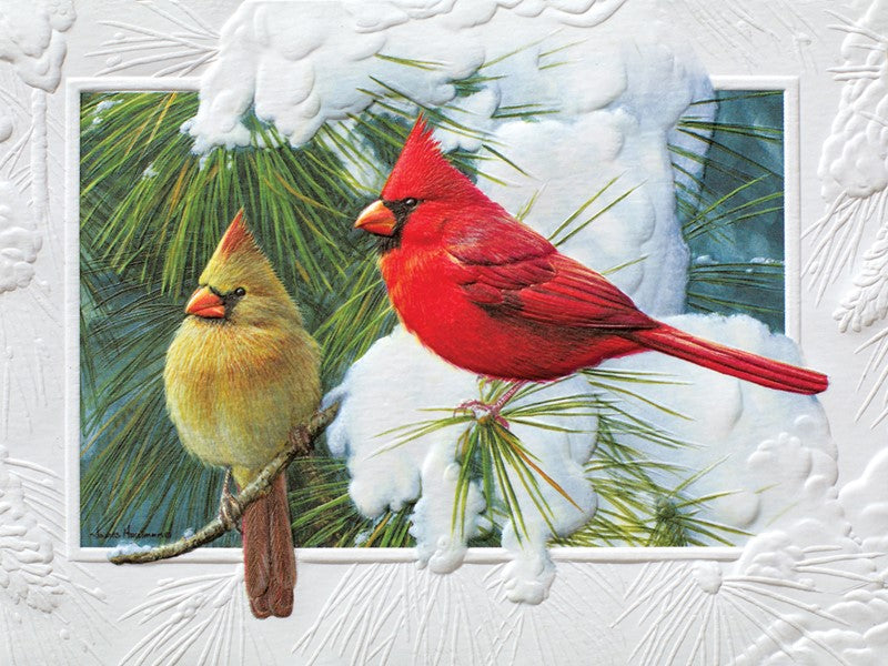 Candid Cardinals  Petite Boxed Cards - The Country Christmas Loft