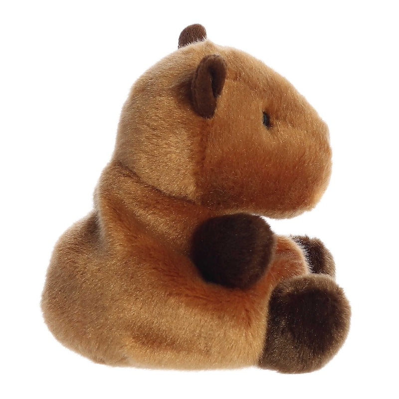 Sid Capybara Palm Pal