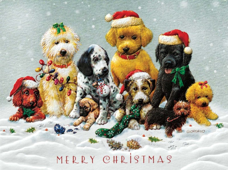 A Very Puppy Christmas Boxed Cards
