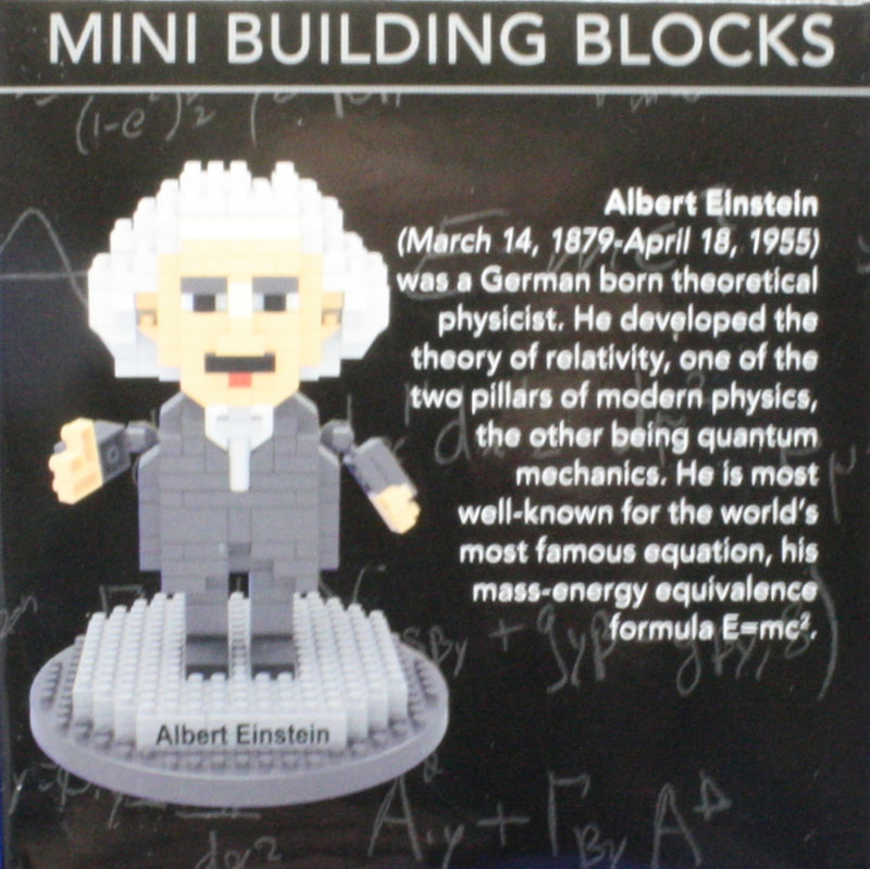 Mini Building Blocks - Albert Einstein - The Country Christmas Loft