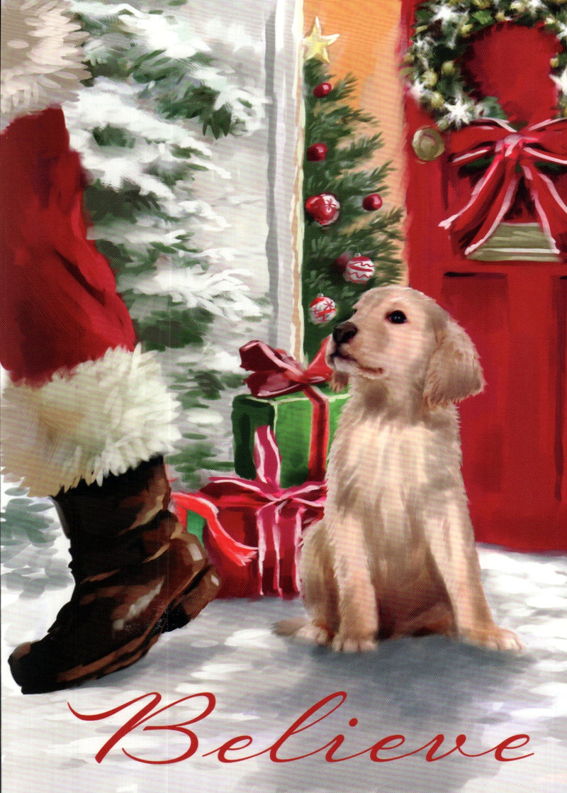 Love of Pets 18 Card Boxed Set - Santa And Puppy Believe - The Country Christmas Loft