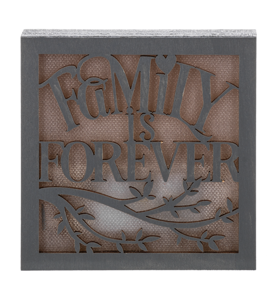 Laser Cut Light Up Blocks -