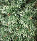 4 Foot Ponderosa Potted Tree