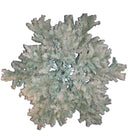 Frosted Chandelier Swag - 150 light - The Country Christmas Loft