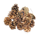 Scented Pinecones - 3 Quart Bag