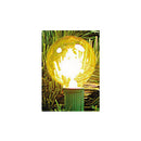 Marquee Replacement Lightbulb - 2 Pack - Gold - The Country Christmas Loft