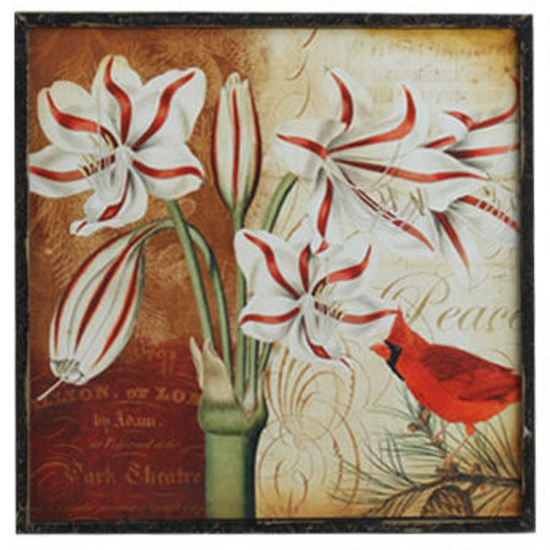14 inch Wooden Cardinal Print - White Poinsettia