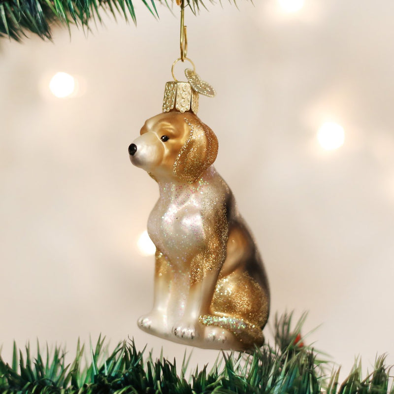 Old World Christmas Blown Beagle Ornament - The Country Christmas Loft
