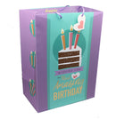 Mega Jumbo Slice of Cake Gift Bag - The Country Christmas Loft