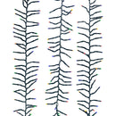 1000-Light Multi-Color LED Cluster Light Set - The Country Christmas Loft