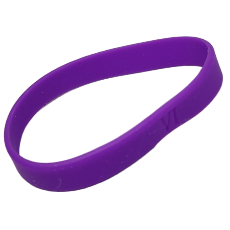 Silicone Wrist Bands - Tub of 36 - Purple