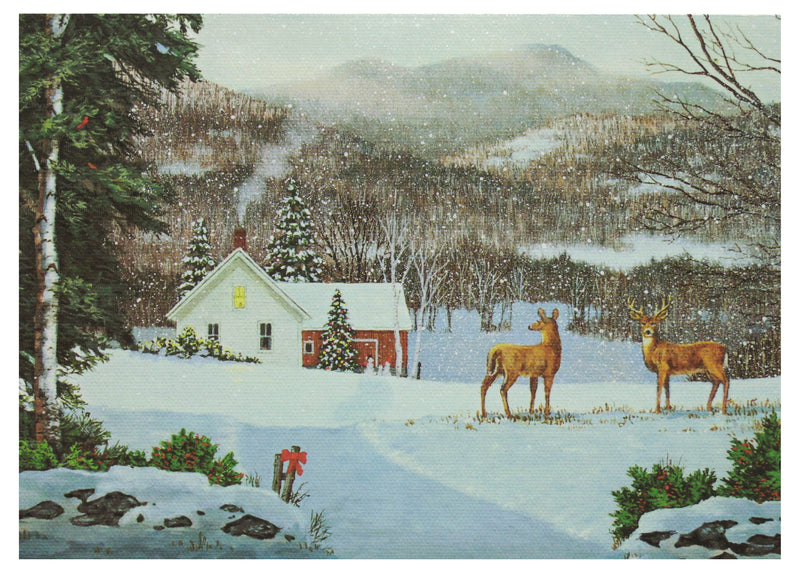 Fred Swan Holiday Boxed Greeting Cards - Christmas Deer - The Country Christmas Loft