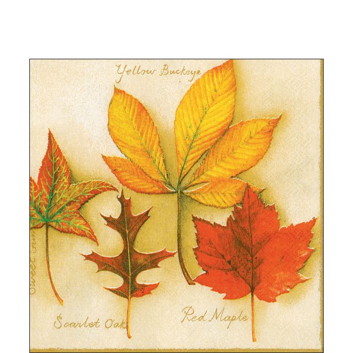 Paper Cocktail Napkin - Autumn Leaves - Cream - The Country Christmas Loft