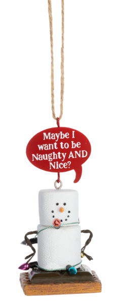 Toasted S'mores Pun Ornament - Maybe I want to be Naughty AND Nice - The Country Christmas Loft