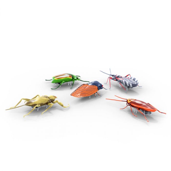 Real Bugs Nanos 5-Pack - The Country Christmas Loft