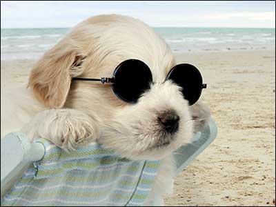 Birthday Card - Cooler By The Minute - The Country Christmas Loft