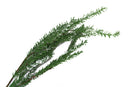 36 inch Snowy Pine Spray - The Country Christmas Loft