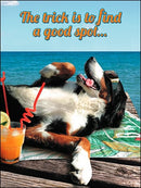 Birthday Card -Let Everyone Else Do The Fetching - The Country Christmas Loft