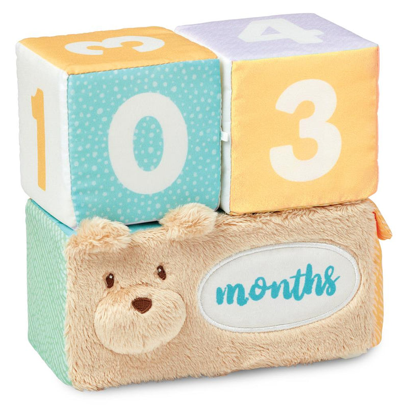 Milestones and Moments Soft Block Set - The Country Christmas Loft