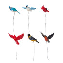 Assorted Birds - Set Of 6 - The Country Christmas Loft