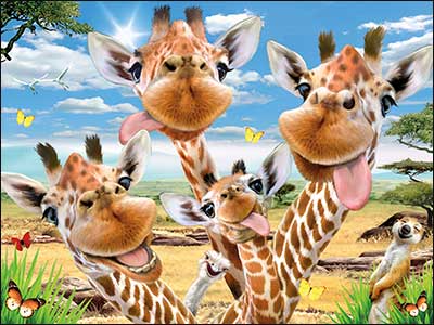 Birthday Card - Giraffe Selfie - The Country Christmas Loft