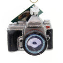 Glass Camera Ornament - The Country Christmas Loft