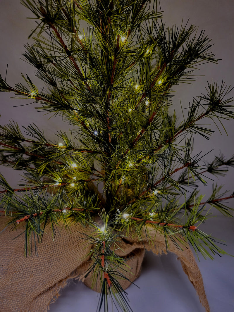 Pre-lit Bristle Pine Tree in Burlap Base - 24 inch - The Country Christmas Loft