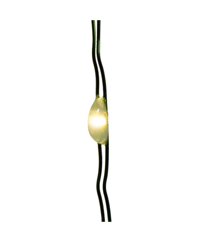 50-Light Battery Operated Warm White Twinkle Fairy Lights With Green Wire - The Country Christmas Loft
