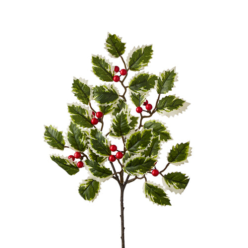 Variegated Holly Pick 16" - The Country Christmas Loft