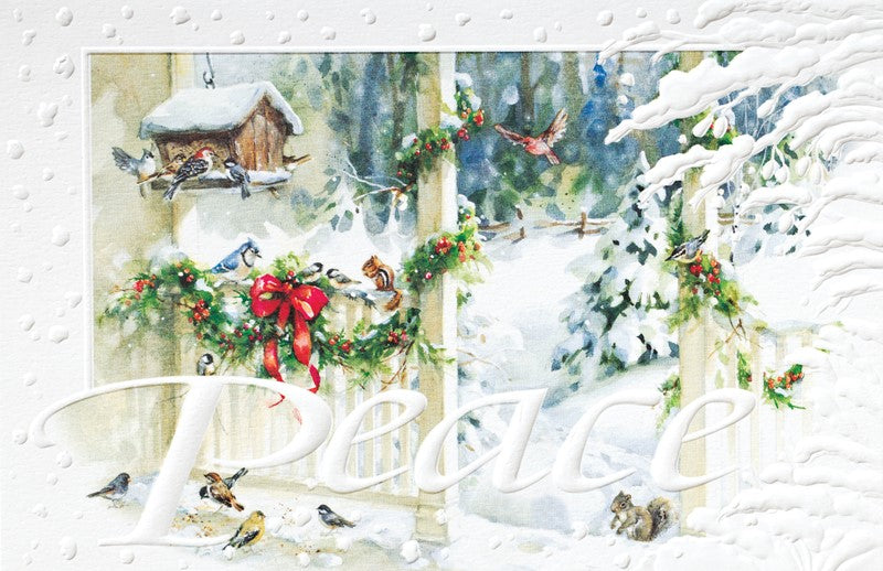 Back Porch Feeder  Christmas Boxed Cards