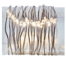 50-Light Multi Function Battery-Operated Warm White LED Fairy Light Set with Remote Control - The Country Christmas Loft