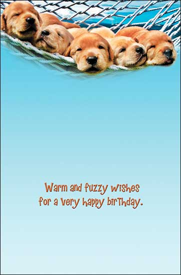 Notion - Warm Fuzzy Birthday Card - The Country Christmas Loft