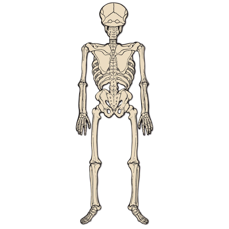 Vintage Halloween Jointed Skeleton - 4 Feet Tall