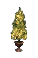 4 Foot Ponderosa Potted Tree