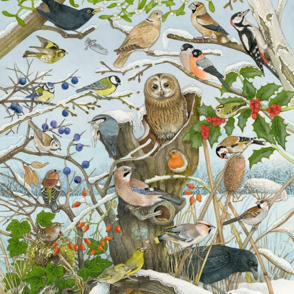 Birds of Winter Advent Calendar with Sound – The Country Christmas Loft