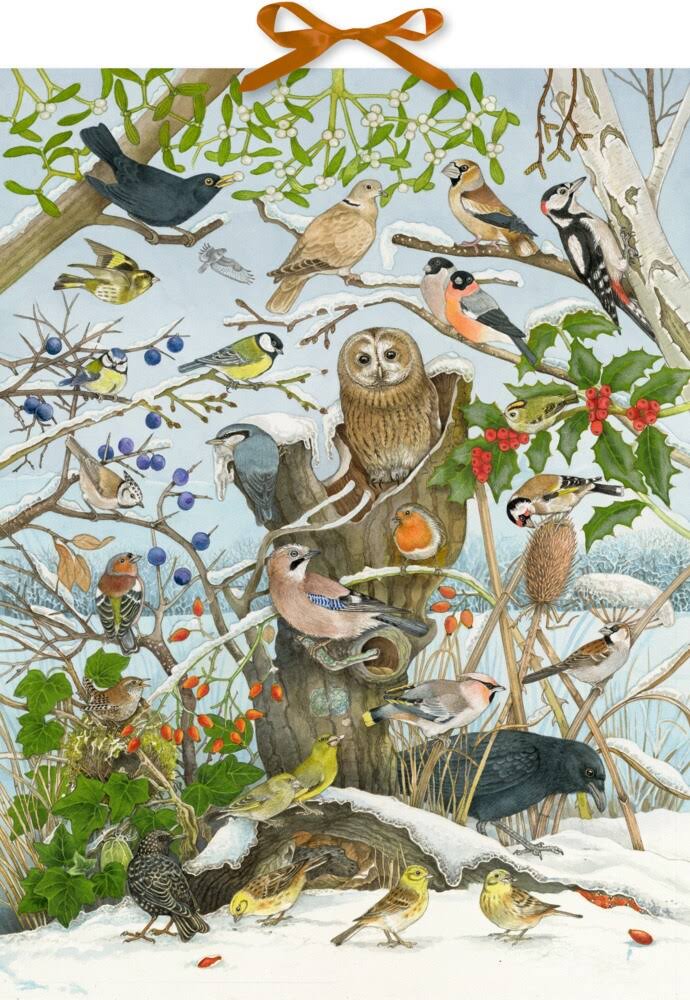 Birds of Winter Advent Calendar with Sound