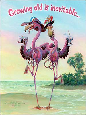 Birthday Card - Flamingos - The Country Christmas Loft
