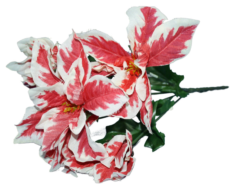 13 inch Variegated Poinsettia Stem Red/White - The Country Christmas Loft