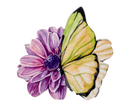 Butterfly Screen Saver -