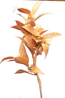 Glitter Laurel Spray - Copper - The Country Christmas Loft