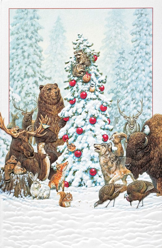 Wilderness Welcome Christmas Boxed Cards