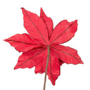 Red Velvet Glittered Poinsettia - 14 Inch