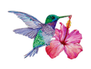 Hummingbird Screen Door Savers -