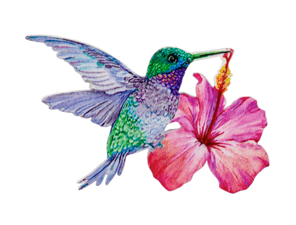 Hummingbird Screen Door Savers -