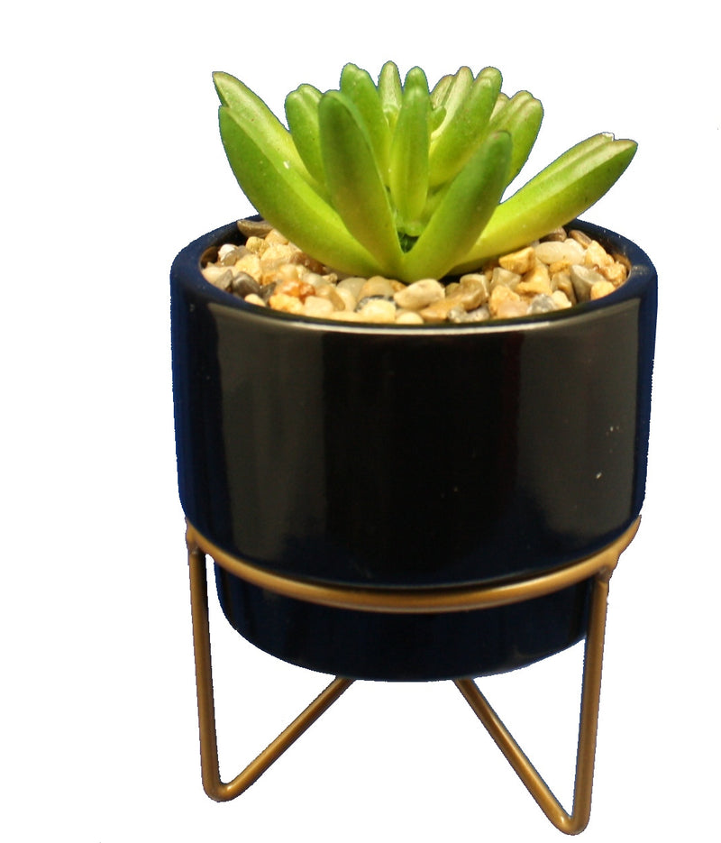 Potted Succulent on Metal Stand - - The Country Christmas Loft