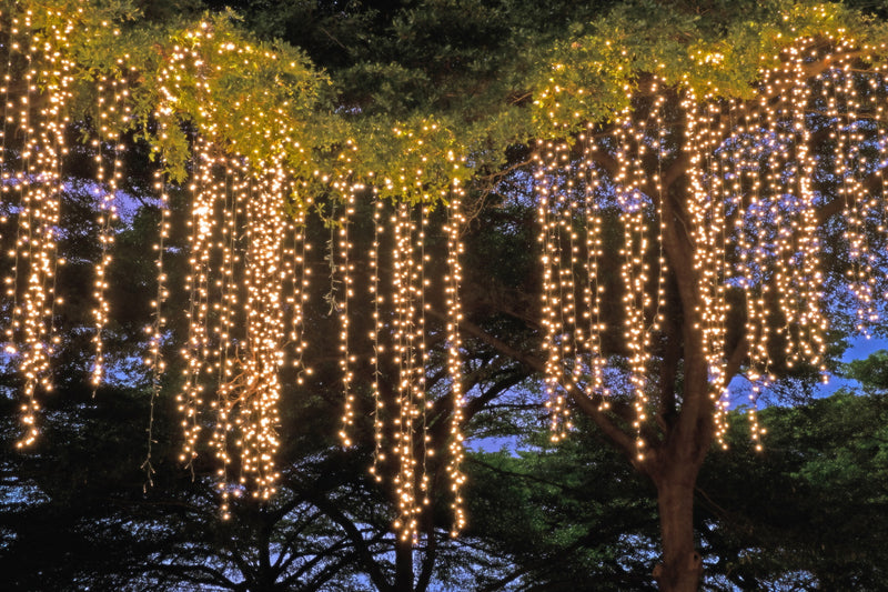 Electric Firecracker Curtain Lights with 600 Warm White LED Lights - The Country Christmas Loft