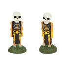Lit Skeleton Yard Decor (set of 2) - The Country Christmas Loft