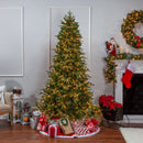 7.5' Natural Cut Frasier Fir - Clear Bulb - The Country Christmas Loft
