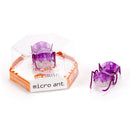 Hexbug Micro Ant Mechanicals - Purple - The Country Christmas Loft